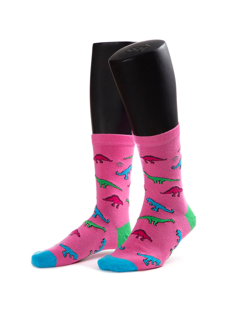 Dinosaur Design Women Socks